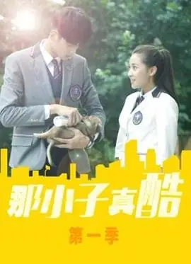 那小子真酷第一季海报