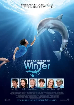 海豚的故事[影视解说]海报