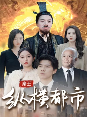 秦王纵横都市海报