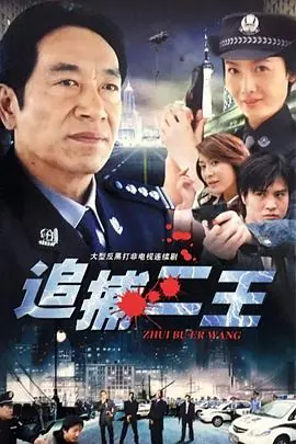 追捕二王海报