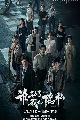 谁动了我的隐私海报