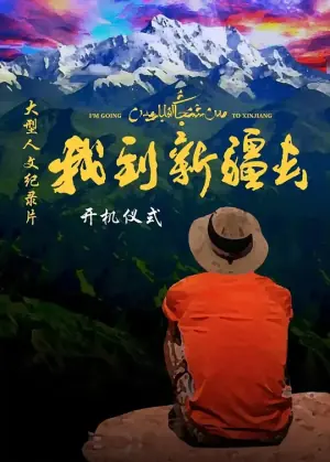 我到新疆去第二季海报