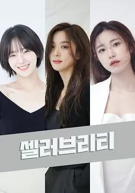 名人셀러브리티[电影解说]海报