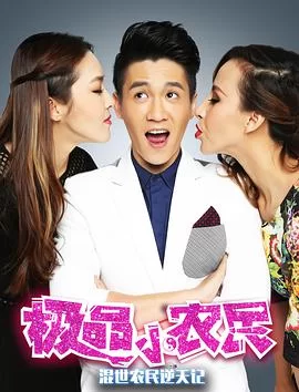 极品小农民海报