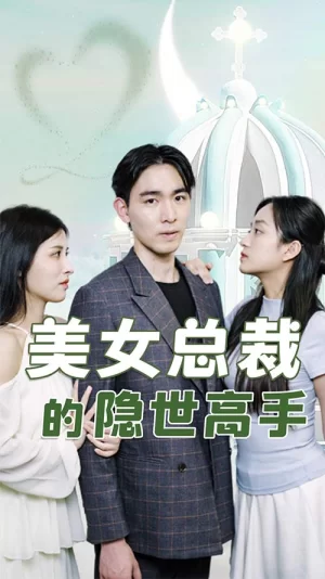 美女总裁的隐世高手海报