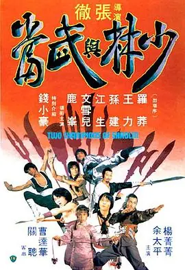 少林与武当少林與武當海报