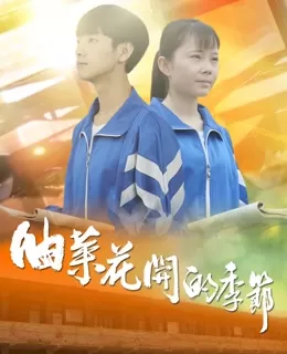 油菜花开的季节海报