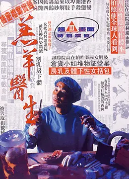 羔羊医生海报