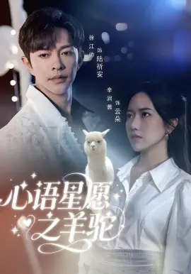 心语星愿之羊驼海报