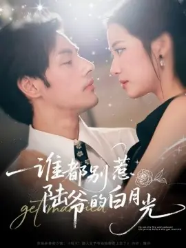 谁都别惹陆爷的白月光海报