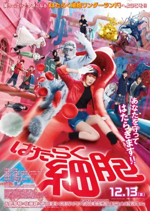 工作细胞海报