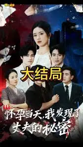 怀孕当天我发现了丈夫的秘密海报