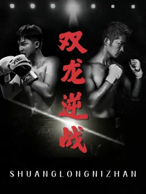 双龙逆战海报
