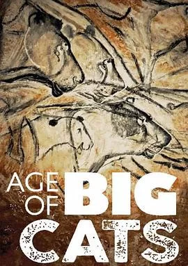 大猫的时代海报