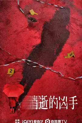 消逝的凶手海报