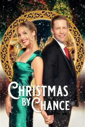 偶然的圣诞节海报