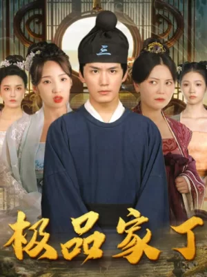 新极品家丁海报