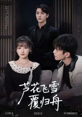 芦花飞雪覆归舟海报