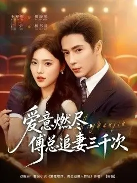 爱意燃尽,傅总追妻三千次海报
