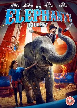 拯救芙洛拉海报