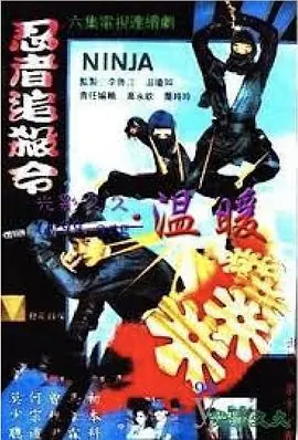 忍者追杀令海报