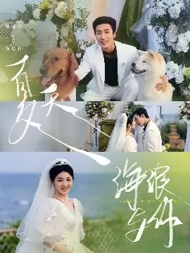 夏天,海浪与你海报