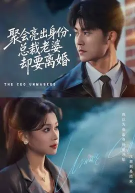 聚会亮出身份,总裁老婆却要离婚海报