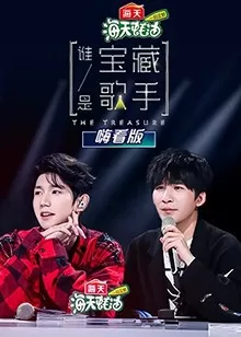 谁是宝藏歌手嗨看版海报