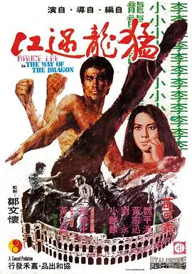 猛龙过江猛龍過江海报