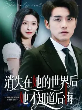 消失在她的世界后她才知道后悔海报