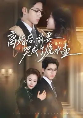 离婚后,前妻哭成了烧水壶海报