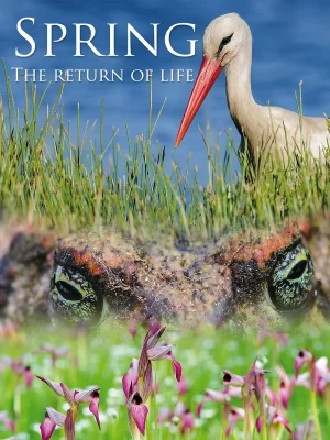 一年之计在于春海报