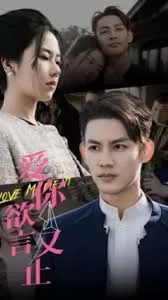 爱你欲言又止海报