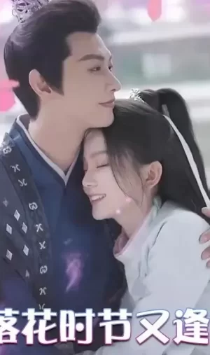 落花时节又逢君海报