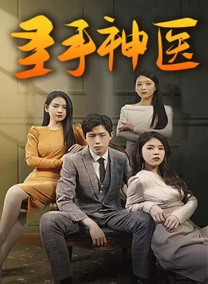圣手神医海报