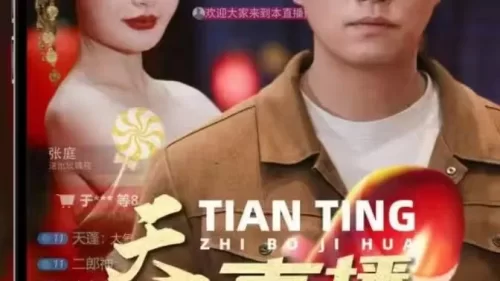 天庭直播计划海报