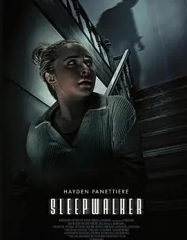 梦游者海报