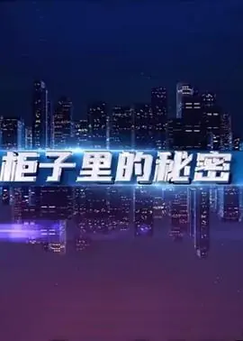 柜子里的秘密海报