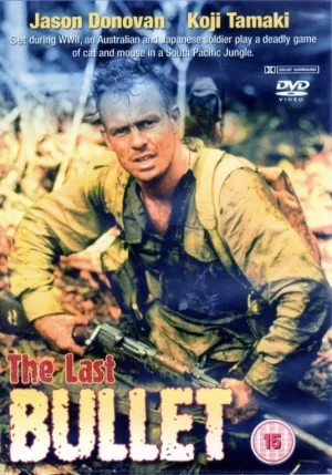 最后一颗子弹海报