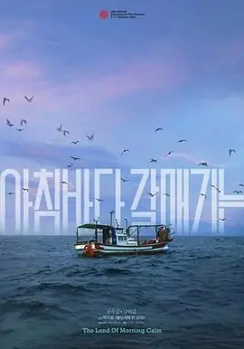 晨海的海鸥海报