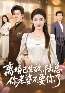 离婚已生效,陆总你老婆不要你了海报