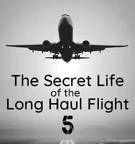 长途航班的秘密生活海报