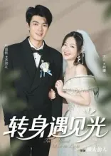 转身遇见光海报