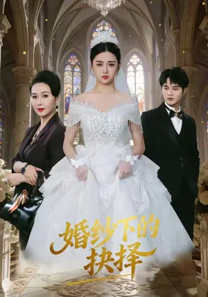 婚纱下的抉择海报