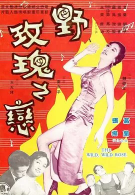 野玫瑰之恋海报