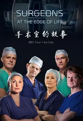 外科医生:生命边缘第一季海报