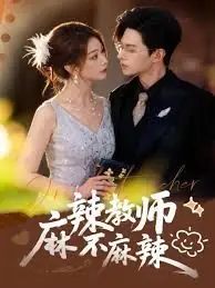 麻辣教师不麻辣海报