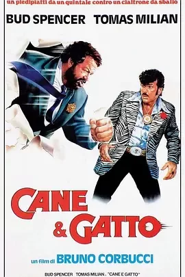 老虎与妙贼海报