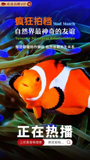 疯狂拍档:自然界最神奇的友谊海报