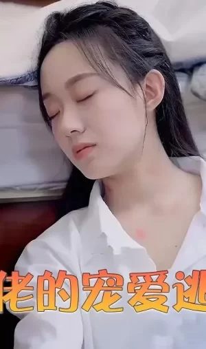 大佬的宠爱逃妻海报